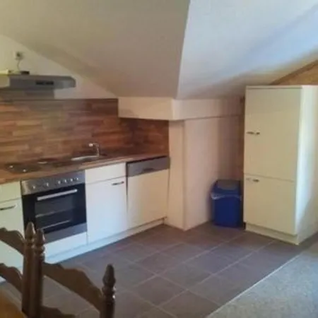 Apartment Gemuetliche In Mit Grill, Terrasse Und Garten